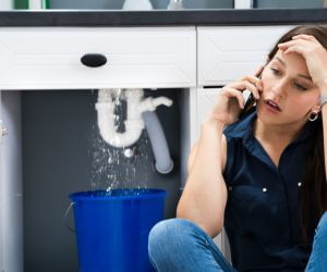 About Water Leak Detection Pros Lapine, AL